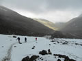 Climbing to the Similaun Hut