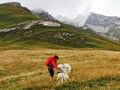 In the Vanoise Alps