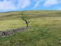 Ascending Cairnsmore of Carsphairn