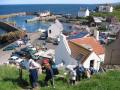 St Abbs Harbour